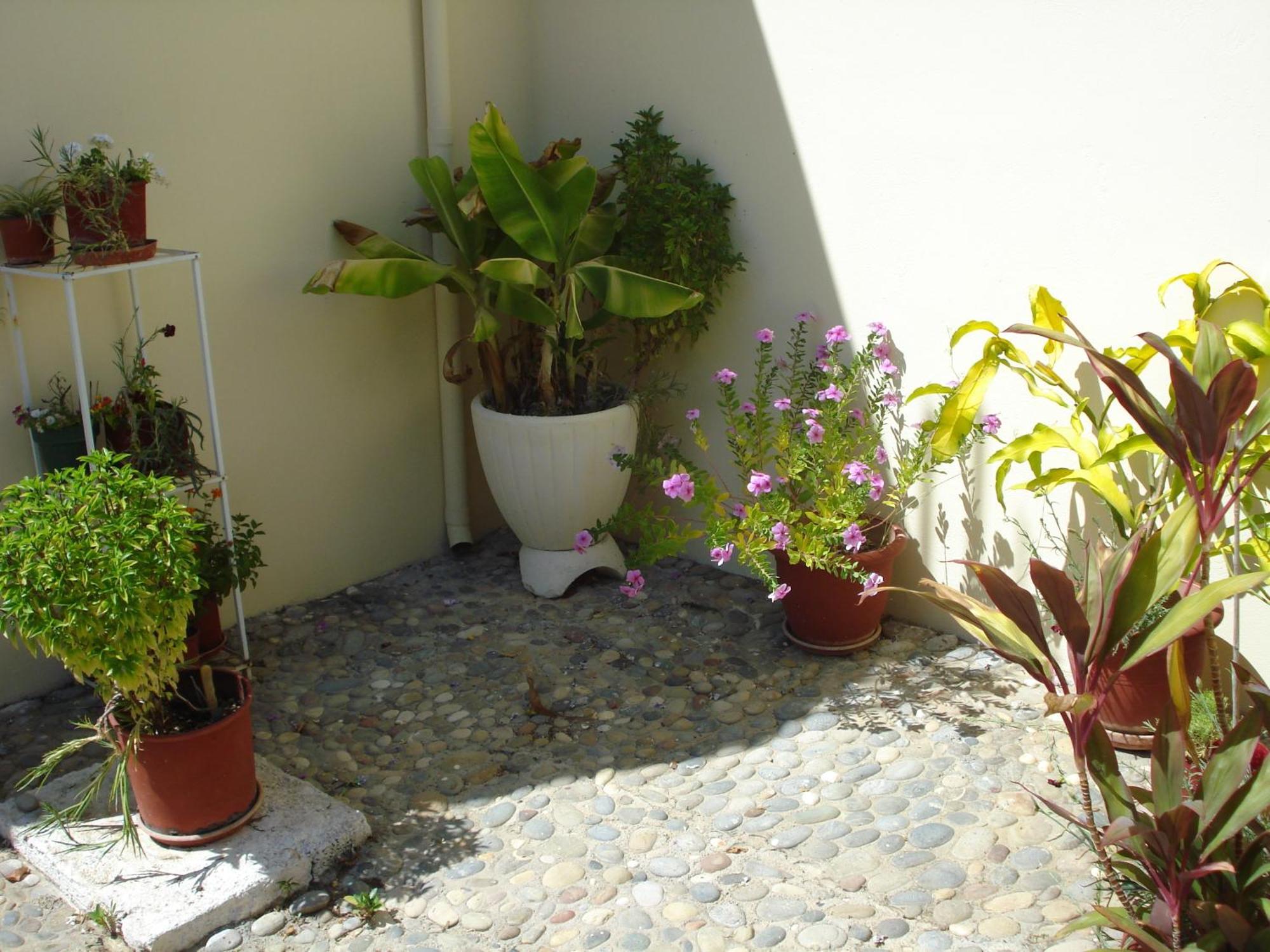Zinovia Apartment Kato Daratso Exterior photo